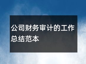 公司財(cái)務(wù)審計(jì)的工作總結(jié)范本