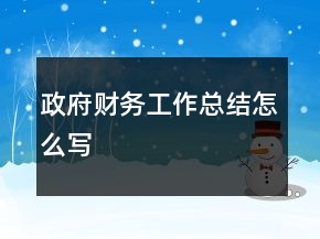 政府財務(wù)工作總結(jié)怎么寫
