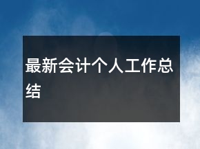 最新會計個人工作總結(jié)