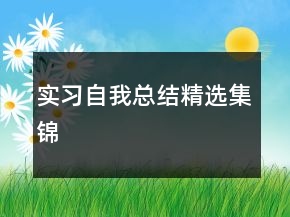 實(shí)習(xí)自我總結(jié)精選集錦