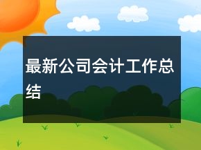 最新公司會計工作總結(jié)