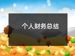 個人財務(wù)總結(jié)