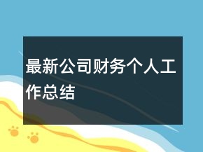最新公司財務(wù)個人工作總結(jié)