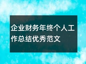 企業(yè)財(cái)務(wù)年終個(gè)人工作總結(jié)優(yōu)秀范文