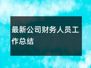 最新公司財(cái)務(wù)人員工作總結(jié)
