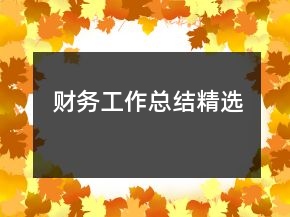 財務工作總結精選
