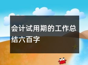 會(huì)計(jì)試用期的工作總結(jié)六百字