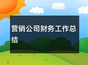 營(yíng)銷公司財(cái)務(wù)工作總結(jié)
