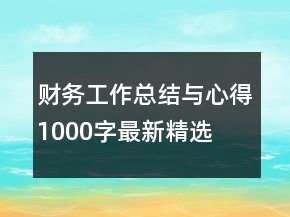 財務工作總結與心得1000字最新精選