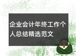 企業(yè)會計年終工作個人總結精選范文