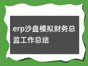 erp沙盤(pán)模擬財(cái)務(wù)總監(jiān)工作總結(jié)