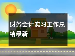 財務(wù)會計實習(xí)工作總結(jié)最新