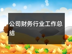 公司財(cái)務(wù)行業(yè)工作總結(jié)