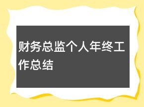 財(cái)務(wù)總監(jiān)個(gè)人年終工作總結(jié)