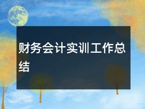 財務(wù)會計實訓(xùn)工作總結(jié)