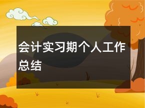 會計實習期個人工作總結
