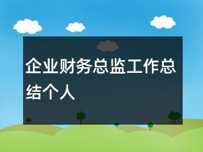 企業(yè)財(cái)務(wù)總監(jiān)工作總結(jié)個(gè)人