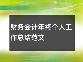 財(cái)務(wù)會(huì)計(jì)年終個(gè)人工作總結(jié)范文