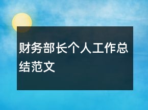 財(cái)務(wù)部長(zhǎng)個(gè)人工作總結(jié)范文