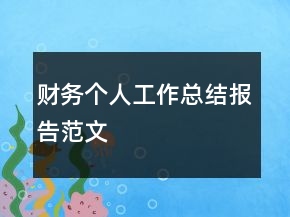 財務(wù)個人工作總結(jié)報告范文