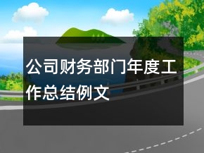 公司財務(wù)部門年度工作總結(jié)例文