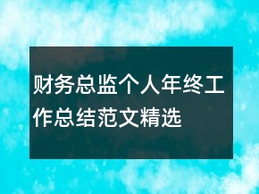 財(cái)務(wù)總監(jiān)個(gè)人年終工作總結(jié)范文精選