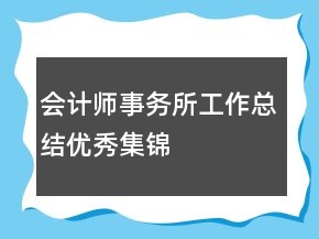 會計師事務所工作總結優(yōu)秀集錦