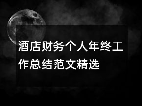 酒店財(cái)務(wù)個(gè)人年終工作總結(jié)范文精選
