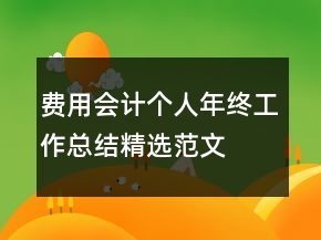 費用會計個人年終工作總結精選范文