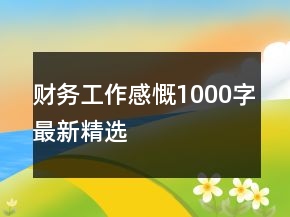 財務工作感慨1000字最新精選