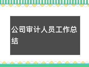 公司審計人員工作總結(jié)