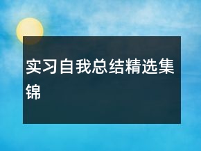 實(shí)習(xí)自我總結(jié)精選集錦