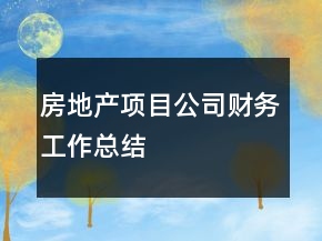 房地產(chǎn)項(xiàng)目公司財(cái)務(wù)工作總結(jié)