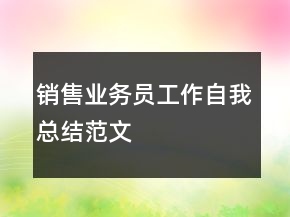 銷售業(yè)務(wù)員工作自我總結(jié)范文