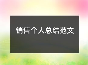 銷(xiāo)售個(gè)人總結(jié)范文
