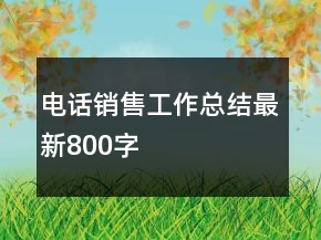 電話銷售工作總結(jié)最新800字