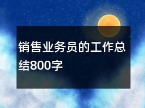 銷售業(yè)務(wù)員的工作總結(jié)800字
