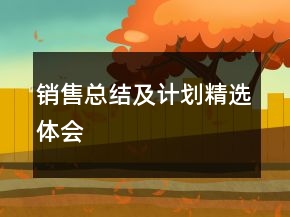 銷售總結(jié)及計(jì)劃精選體會(huì)