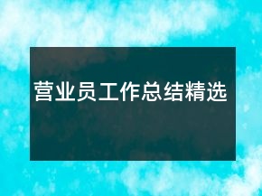營業(yè)員工作總結(jié)精選