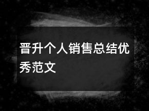 晉升個人銷售總結(jié)優(yōu)秀范文