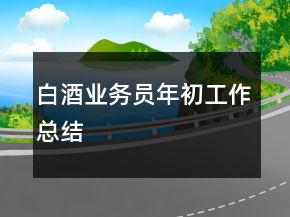 白酒業(yè)務(wù)員年初工作總結(jié)