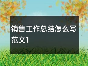 銷售工作總結(jié)怎么寫范文1