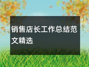 銷售店長工作總結(jié)范文精選