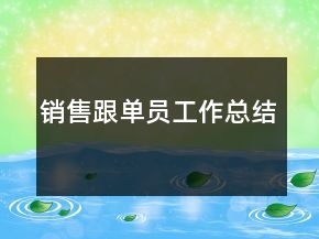銷售跟單員工作總結(jié)