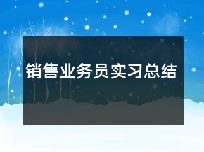 銷售業(yè)務員實習總結(jié)