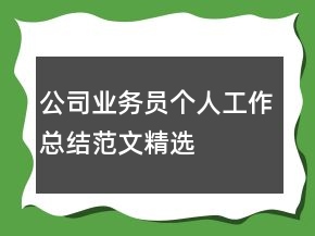 公司業(yè)務(wù)員個(gè)人工作總結(jié)范文精選