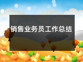 銷售業(yè)務(wù)員工作總結(jié)