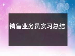 銷售業(yè)務(wù)員實(shí)習(xí)總結(jié)