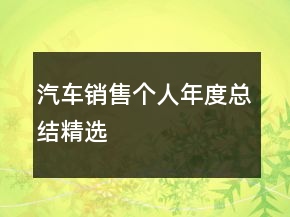 汽車銷售個(gè)人年度總結(jié)精選
