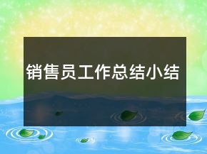 銷售員工作總結小結